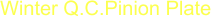 Winter Q.C.Pinion Plate